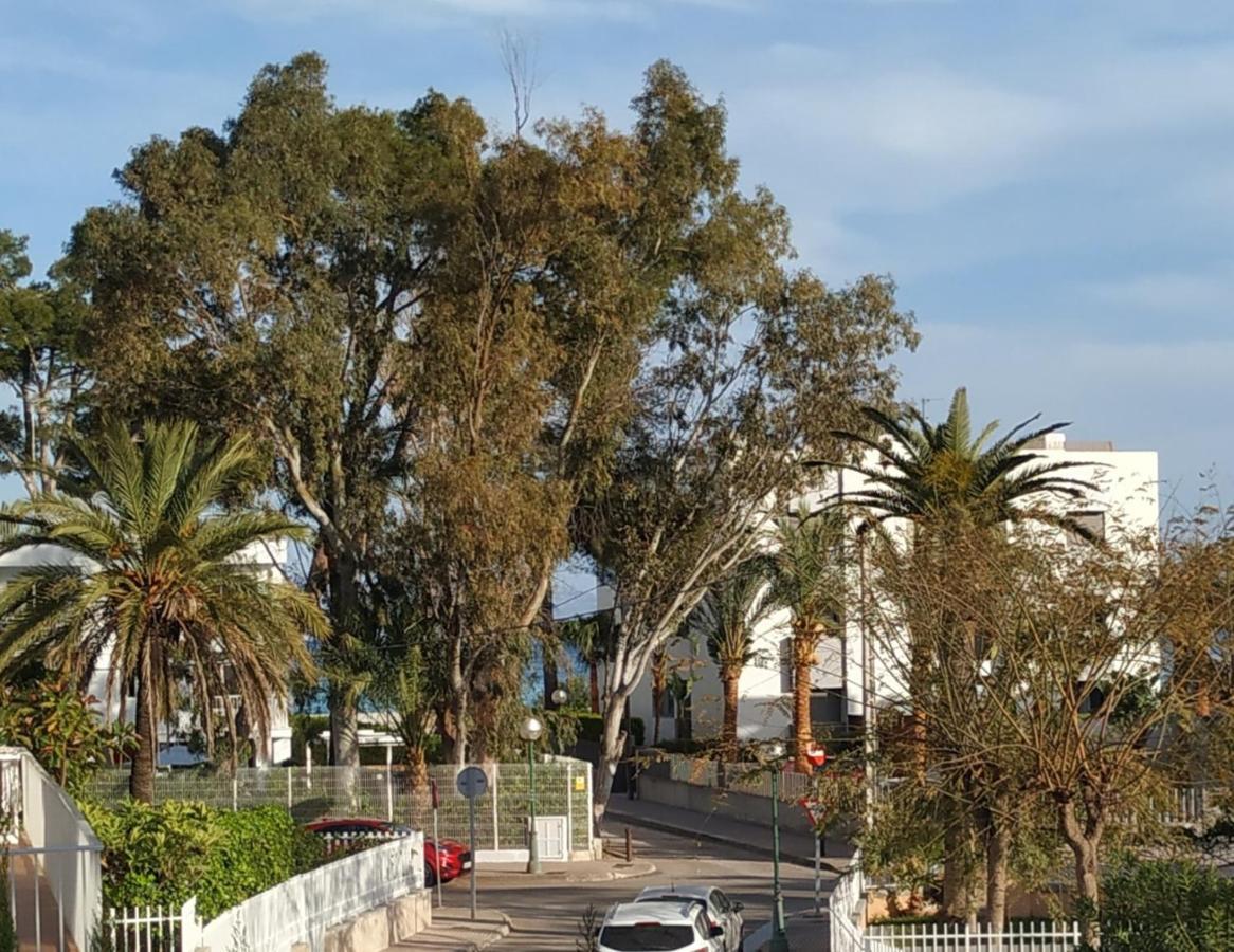 Casa Tritons Villa Port de Alcudia  Ngoại thất bức ảnh